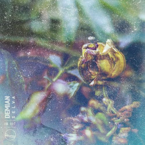 Ceiba cover art