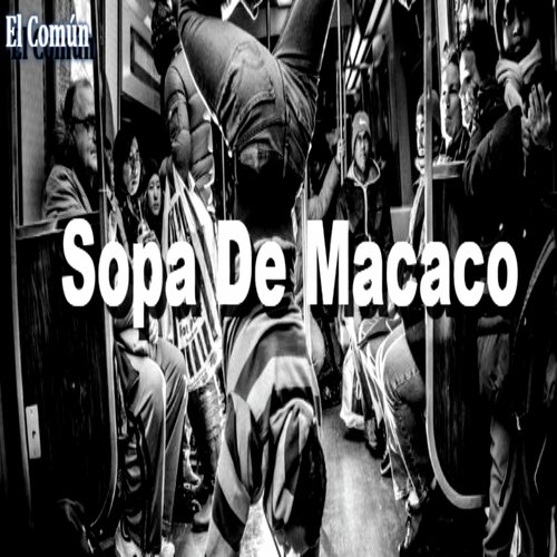 Sopa de Macaco