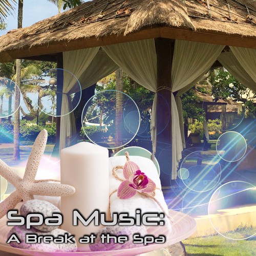 Mindfulness Meditation cover art