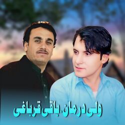 Zama Yar Ghnam Rang Da