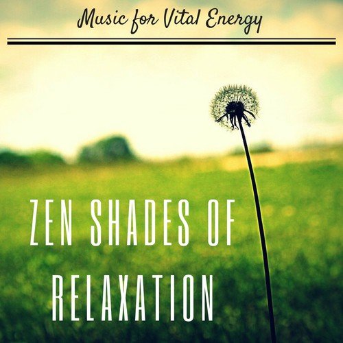 Bansuri Meditation cover art