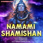 02. NAMAMI SHAMISHAM SHIV JI