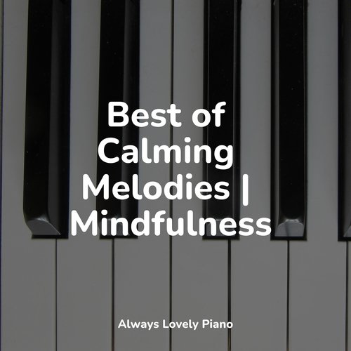 50 Comforting Melodies for Focus