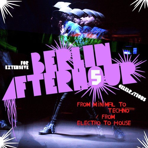 Berlin Afterhour 5 (From Minimal to Techno / From Electro to House)