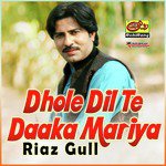 Dhole Dil Te Daaka Mariya
