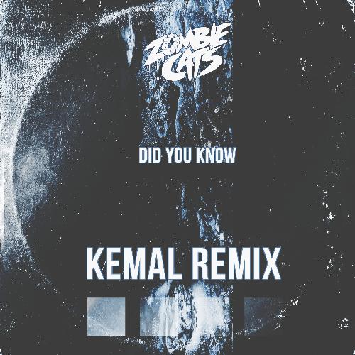 Did You Know (Kemal Remix)