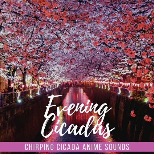 Relaxing Nature Ambience cover art