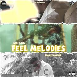 Feel Melodies-HiU8fzFbRX0