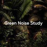 Calm Study Session