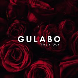 Gulabo-IjsBckFKcEc