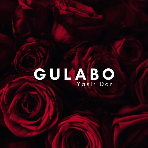 Gulabo