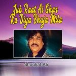 Jub Raat Ai Ghar Ka Diya Bhuja Mila