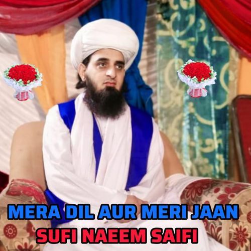 MERA DIL AUR MERI JAAN