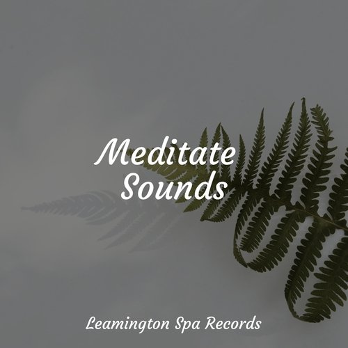 Meditate Sounds