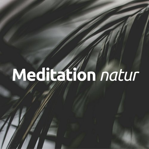 Meditation natur - meditation neurowissenschaft