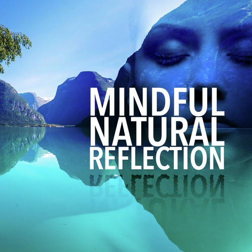 Mindful Natural Reflection