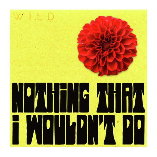 Nothing That I Wouldn&#039;t Do_poster_image