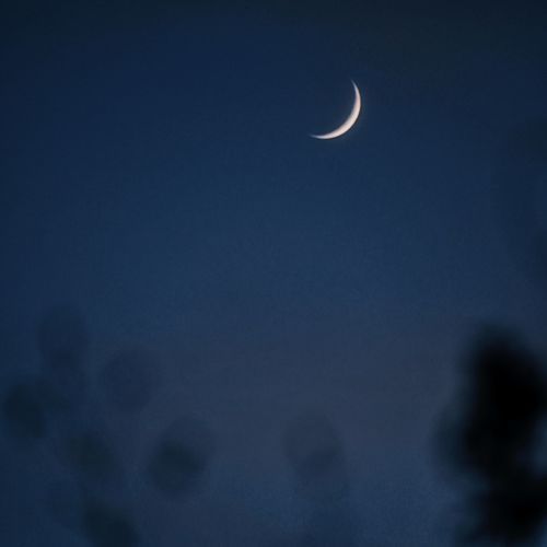 肝胆调和曲 cover art