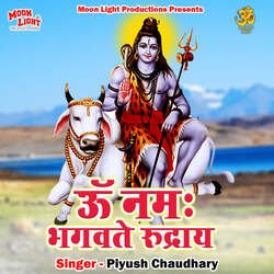 Om Namoh Bhagvathe Rudraya-MS8NXjJXVnI