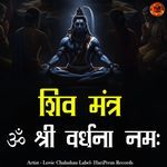 Om Shri Vardhanaya Namah