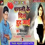 PAGALI KE DIL TUT JAI