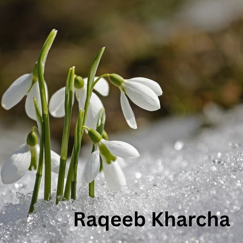 Raqeeb Kharcha