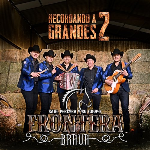 Los Grandes de Sonora cover art