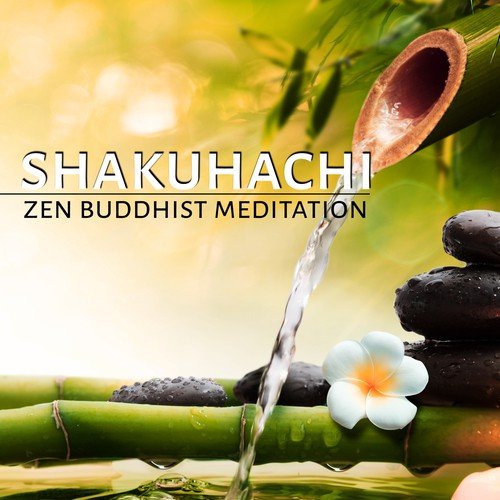Namaste Healing Yoga cover art