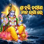 Shri Hari Charane Mana Laga Re - Male Version artwork