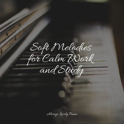 Soft Melodies for Calm Work and Study