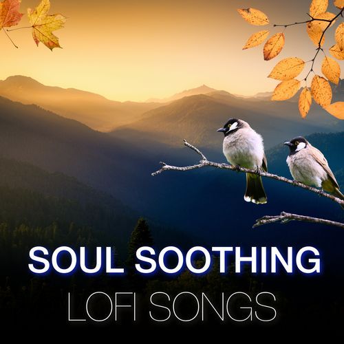 Soul Soothing Lofi Songs