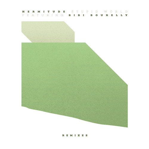Stupid World (Remixes)