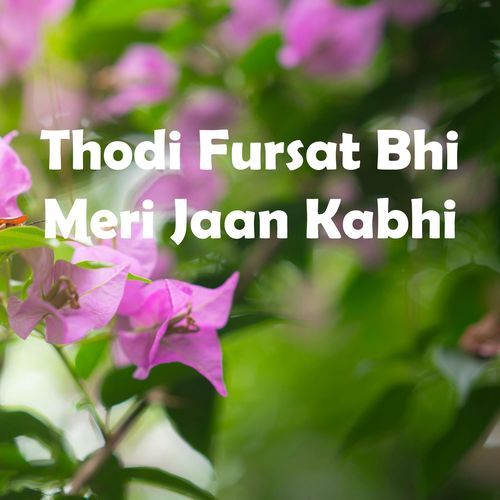 Thodi Fursat Bhi Meri Jaan Kabhi