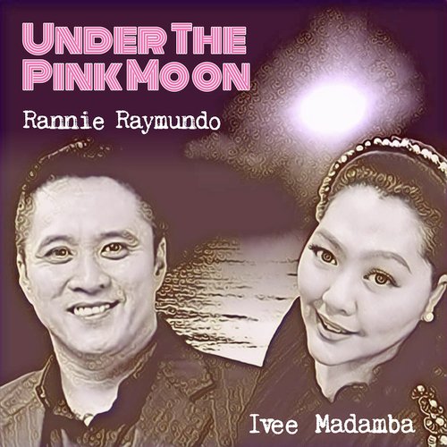 Under The Pink Moon cover art