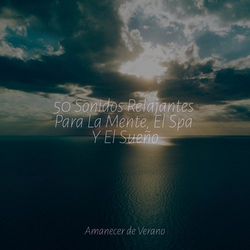 Luminiscencia Velada cover art