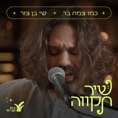 כמו צמח בר