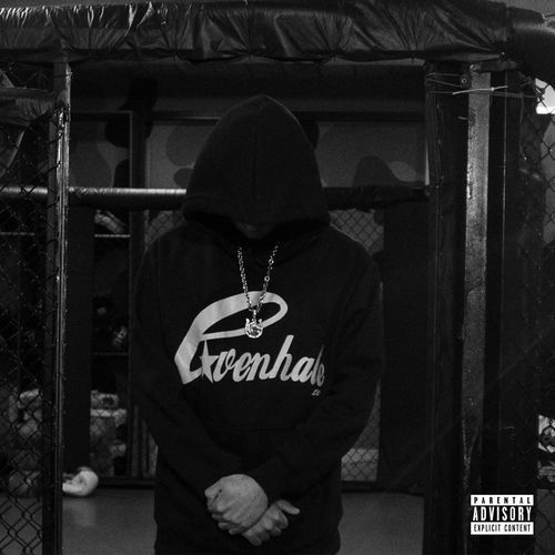 Big Hero cover art