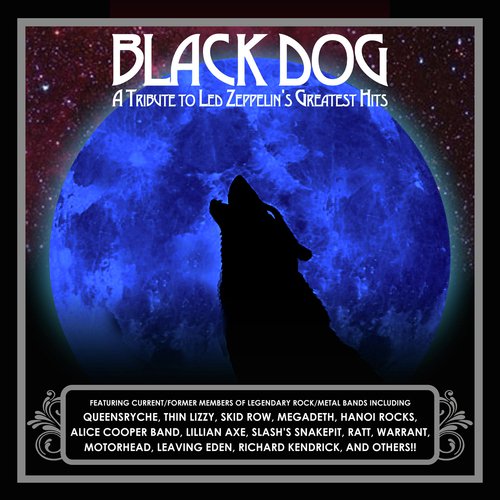 Black Dog: A Tribute To Led Zeppelin's Greatest Hits
