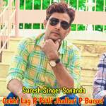 Cokhi Lag R Patli Jhallari P Burset