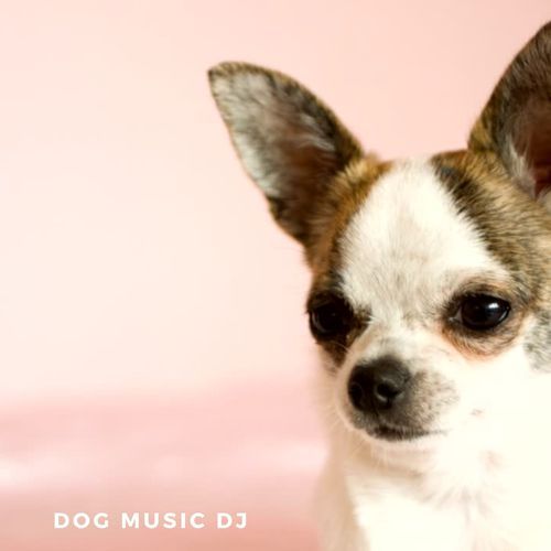 Dog Music cover art