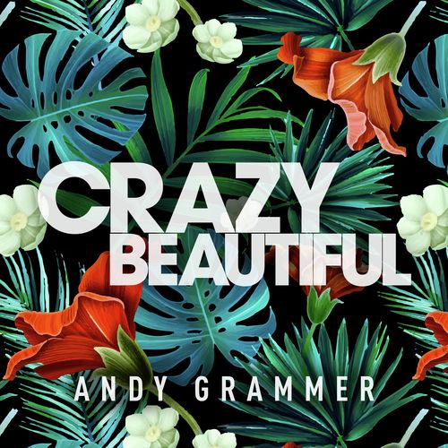 Crazy Beautiful EP_poster_image