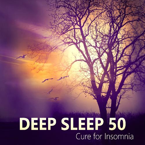 Trouble Sleeping cover art