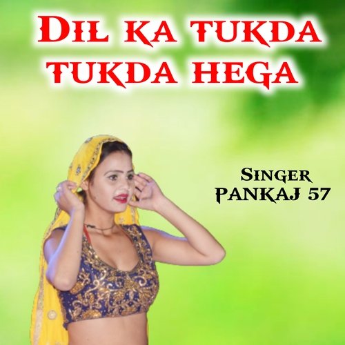 Dil ka tukda tukda hega