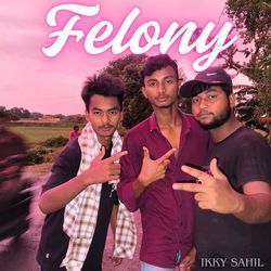 Felony
