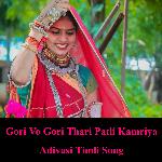 Gori Vo Gori Thari Patli Kamriya Adivasi Timli Song