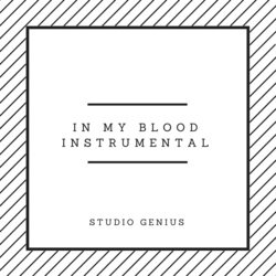 In My Blood Instrumental (Originally by Shawn Mendes)