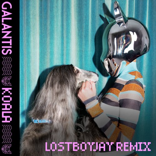 Koala (LOSTBOYJAY Remix)_poster_image