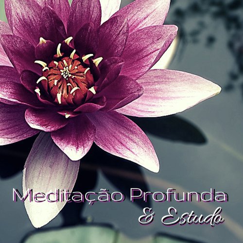Lendo Livros cover art