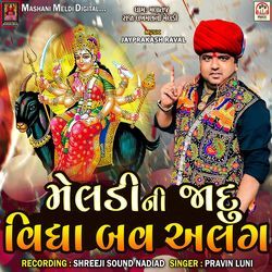 Meldi Ni Jady Vidhya Bav Alag