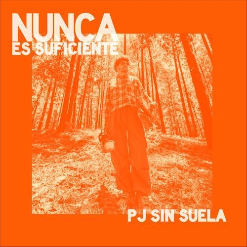 Nunca Es Suficiente